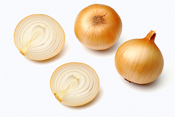 JPG 편집이미지 식재료 양파 단면 뿌리채소 사람없음 디지털합성 편집실사 AI포토 AI콘텐츠 채소 CG 파일형식