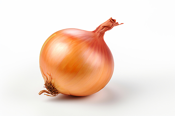 JPG 편집이미지 식재료 양파 뿌리채소 사람없음 디지털합성 편집실사 AI포토 AI콘텐츠 채소 CG 파일형식