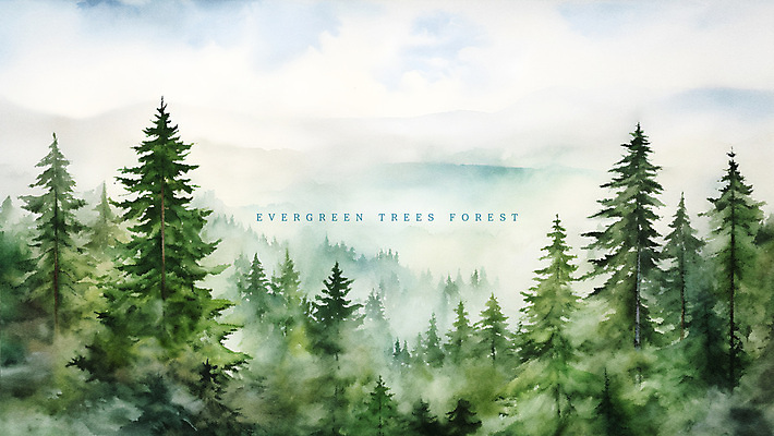 PSD 나무 일러스트 수채화 산 풍경 사람없음 초록색 숲 상록수 국내일러스트 식물 컬러 파일형식