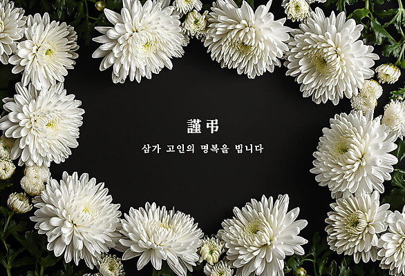 PSD 편집이미지 꽃 국화 사람없음 검은색 장례 근조 조문 추모 상조 이미지편집 식물 컬러 파일형식