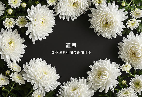 PSD 편집이미지 꽃 국화 사람없음 검은색 장례 근조 조문 추모 상조 이미지편집 식물 컬러 파일형식