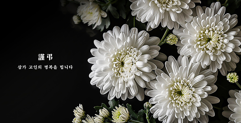 PSD 편집이미지 꽃 국화 사람없음 검은색 장례 근조 조문 추모 상조 이미지편집 식물 컬러 파일형식