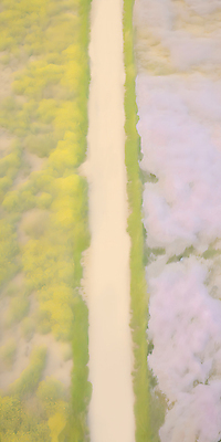 JPG 나무 꽃 도로 길 백그라운드 일러스트 자연 풍경 잔디 사람없음 봄 벚꽃 분위기 감성 꽃길 국내일러스트 AI일러스트 AI콘텐츠 식물 계절 컨셉 교통시설 생태계 파일형식