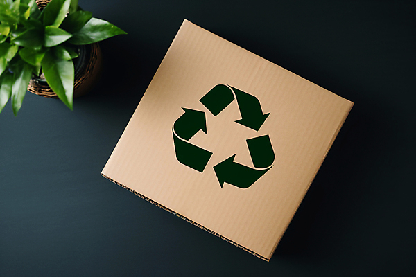 JPG 식물 편집이미지 화분 사람없음 상자 재활용 디지털합성 친환경 업사이클링 재활용표시 편집실사 AI포토 AI콘텐츠 표시 환경 CG 파일형식