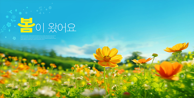 PSD 템플릿 배너 꽃 꽃밭 하늘 풍경 초원 사람없음 봄 화사함 이미지템플릿 식물 계절 컨셉 파일형식