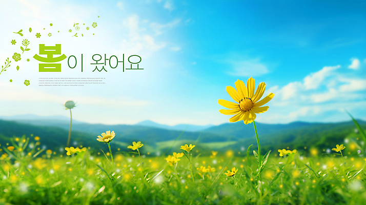 PSD 템플릿 배너 꽃 꽃밭 하늘 풍경 초원 사람없음 봄 화사함 이미지템플릿 식물 계절 컨셉 파일형식
