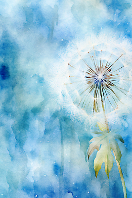 JPG 백그라운드 일러스트 추상 수채화 사람없음 물감 봄 민들레 번짐 민들레홀씨 국내일러스트 AI일러스트 AI콘텐츠 계절 꽃 무늬 미술도구 파일형식 효과