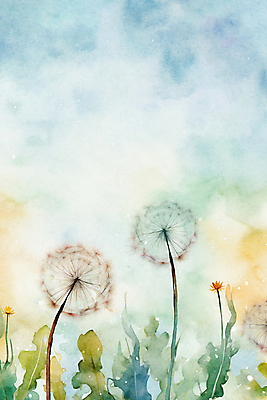 JPG 백그라운드 일러스트 추상 수채화 사람없음 물감 봄 민들레 번짐 민들레홀씨 국내일러스트 AI일러스트 AI콘텐츠 계절 꽃 무늬 미술도구 파일형식 효과