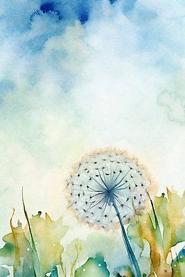 JPG 백그라운드 일러스트 추상 수채화 사람없음 물감 봄 민들레 번짐 민들레홀씨 국내일러스트 AI일러스트 AI콘텐츠 계절 꽃 무늬 미술도구 파일형식 효과