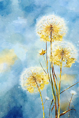 JPG 백그라운드 일러스트 추상 수채화 사람없음 물감 봄 민들레 번짐 민들레홀씨 국내일러스트 AI일러스트 AI콘텐츠 계절 꽃 무늬 미술도구 파일형식 효과