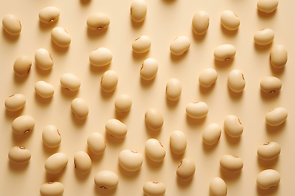 JPG 편집이미지 식재료 콩 실내 그림자 근접촬영 사람없음 디지털합성 단백질 메주콩 베이지색 편집실사 AI포토 AI콘텐츠 뷰포인트 컬러 곡류 내부 CG 영양소 파일형식