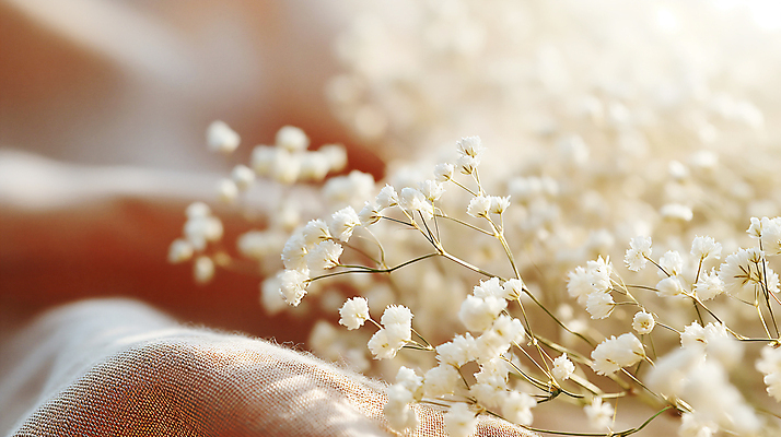 JPG 편집이미지 꽃 사람없음 아웃포커스 봄 흰색 소프트포커스 디지털합성 안개꽃 조화 편집소스 편집실사 AI포토 AI콘텐츠 식물 계절 컬러 촬영기법 CG 한해살이풀 파일형식