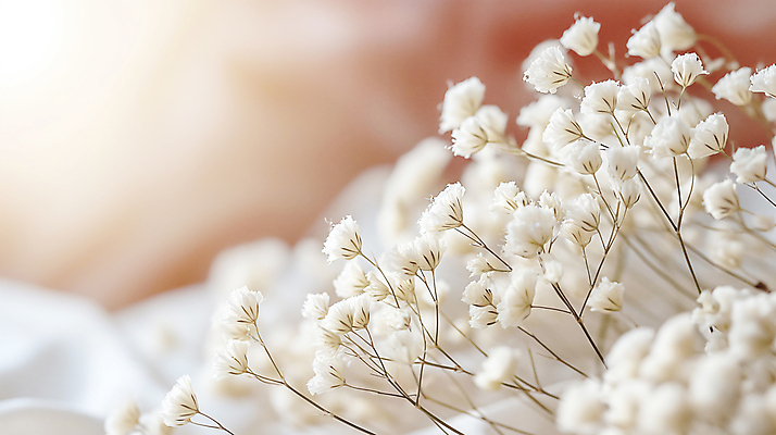 JPG 편집이미지 꽃 사람없음 아웃포커스 봄 흰색 소프트포커스 디지털합성 안개꽃 조화 편집소스 편집실사 AI포토 AI콘텐츠 식물 계절 컬러 촬영기법 CG 한해살이풀 파일형식