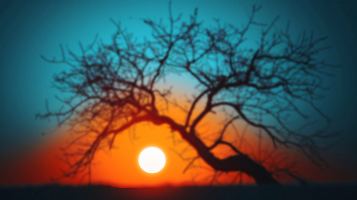 JPG 나무 편집이미지 실루엣 백그라운드 자연 풍경 사람없음 평화 일출 주황색 새벽 신비 디지털합성 조용 그라데이션 편집소스 산맥 편집실사 AI컴퓨터그래픽 AI콘텐츠 자연요소 식물 컬러 컨셉 산 촬영기법 노을 CG 생태계 파일형식