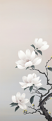 PSD 전통 백그라운드 일러스트 붓터치 나뭇잎 수묵화 사람없음 회색 흰색 나뭇가지 동양화 목련 국내일러스트 나무 꽃 컬러 잎 미술 파일형식