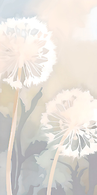 JPG 잎 일러스트 풍경 사람없음 햇빛 봄 흰색 분위기 민들레 민들레홀씨 국내일러스트 AI일러스트 AI콘텐츠 식물 계절 꽃 컬러 컨셉 태양 파일형식