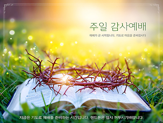 PSD 편집이미지 종교 따뜻함 사람없음 햇빛 성경 봄 기도 테두리 감사 예배 일요일 가시면류관 초봄 이미지편집 계절 감정 종교용품 태양 요일 파일형식