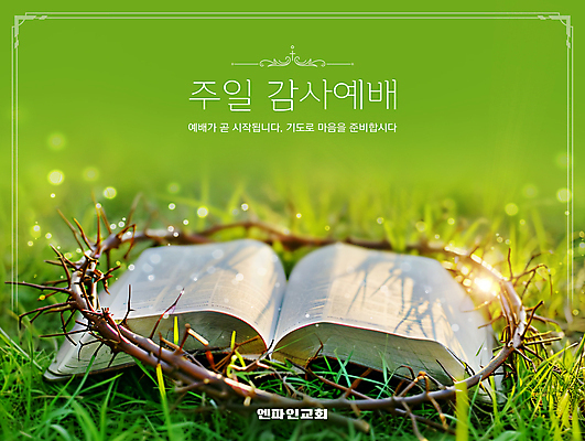 PSD 편집이미지 종교 따뜻함 초원 사람없음 햇빛 성경 봄 기도 테두리 감사 예배 일요일 가시면류관 초봄 이미지편집 계절 감정 종교용품 태양 요일 파일형식