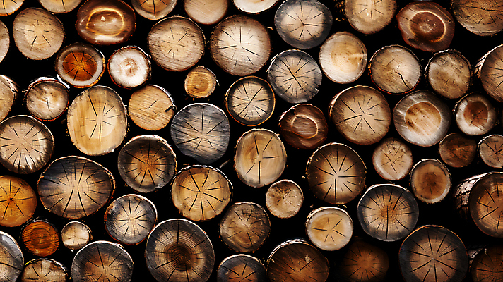 JPG 나무 편집이미지 백그라운드 단면 사람없음 목재 갈색 장작 가득함 통나무 나이테 토막 나무배경 편집실사 AI포토 AI콘텐츠 식물 컬러 재료 CG 파일형식