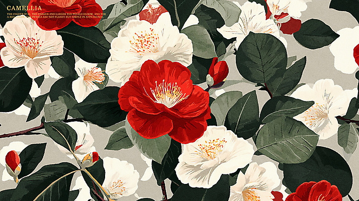 PSD 식물 꽃잎 꽃 백그라운드 일러스트 봄꽃 사람없음 빨간색 흰색 분위기 동백 국내일러스트 컬러 컨셉 봄 파일형식