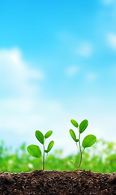 JPG 주간 편집이미지 포스터 자연 하늘 생명 사람없음 야외 빛 햇빛 새싹 흙 봄 성장 광합성 편집실사 AI포토 AI콘텐츠 자연요소 식물 계절 태양 CG 생태계 파일형식