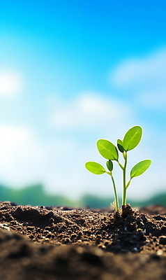 JPG 주간 편집이미지 포스터 자연 하늘 생명 사람없음 야외 빛 햇빛 새싹 흙 봄 성장 광합성 편집실사 AI포토 AI콘텐츠 자연요소 식물 계절 태양 CG 생태계 파일형식