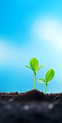 JPG 주간 편집이미지 포스터 자연 하늘 생명 사람없음 야외 빛 햇빛 새싹 흙 봄 성장 광합성 편집실사 AI포토 AI콘텐츠 자연요소 식물 계절 태양 CG 생태계 파일형식