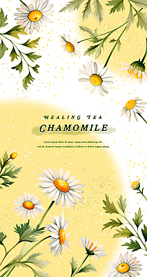 PSD 꽃잎 백그라운드 잎 일러스트 수채화 사람없음 노란색 힐링 찻잎 캐모마일 국내일러스트 식물 꽃 컬러 차_음료 허브 파일형식