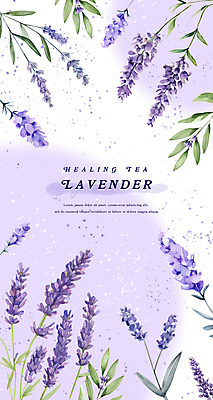 PSD 꽃잎 백그라운드 잎 일러스트 수채화 사람없음 보라색 힐링 라벤더 찻잎 국내일러스트 식물 꽃 컬러 차_음료 허브 파일형식