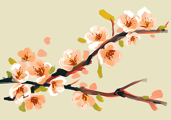 PSD 백그라운드 일러스트 페인팅 나뭇잎 사람없음 봄 나뭇가지 우아함 매화 유화 갈색배경 국내일러스트 나무 계절 꽃 컨셉 잎 미술 갈색 파일형식