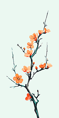 PSD 백그라운드 일러스트 페인팅 나뭇잎 사람없음 봄 나뭇가지 우아함 꽃봉오리 매화 유화 민트색배경 국내일러스트 나무 계절 꽃 컨셉 잎 미술 민트색 파일형식