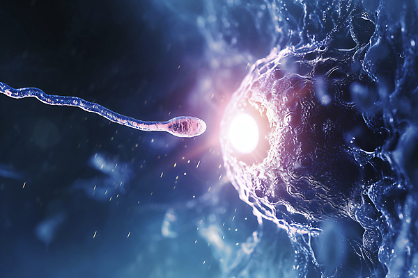 JPG 편집이미지 사람없음 빛 임신 수정 신비 난자 이미지편집 편집실사 AI컴퓨터그래픽 AI콘텐츠 정자세포 컨셉 생물 CG 생식세포 파일형식