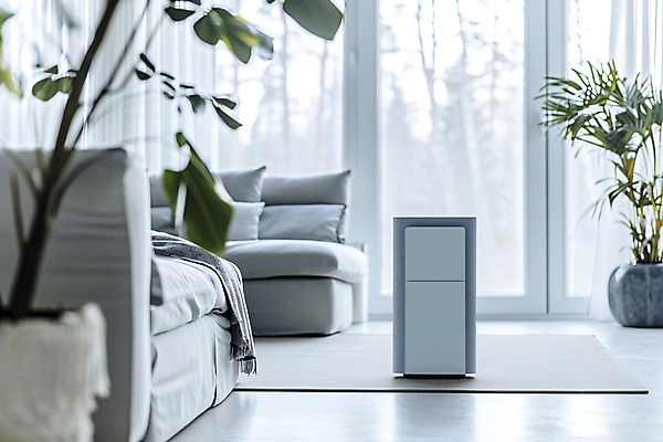 JPG 편집이미지 화분 화초 쿠션 거실 창문 사람없음 전자제품 소파 카펫 가전제품 커튼 스마트 공기청정기 스마트홈 편집실사 AI포토 AI콘텐츠 식물 컨셉 의자 CG 파일형식 AI_인공지능