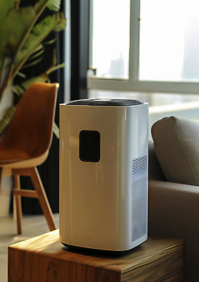 JPG 편집이미지 화초 쿠션 거실 의자 창문 탁자 사람없음 전자제품 가전제품 스마트 공기청정기 스마트홈 편집실사 AI포토 AI콘텐츠 식물 가구 컨셉 CG 파일형식 AI_인공지능