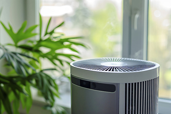 JPG 편집이미지 화초 거실 창문 사람없음 전자제품 가전제품 스마트 공기청정기 스마트홈 편집실사 AI포토 AI콘텐츠 식물 컨셉 CG 파일형식 AI_인공지능