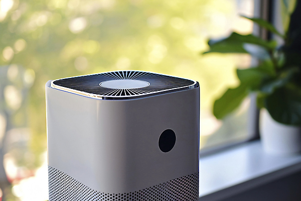 JPG 편집이미지 화분 화초 거실 창문 사람없음 전자제품 가전제품 스마트 공기청정기 스마트홈 편집실사 AI포토 AI콘텐츠 식물 컨셉 CG 파일형식 AI_인공지능