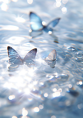 JPG 편집이미지 물결 나비 백그라운드 자연 사람없음 아웃포커스 파란색 빛 반짝임 물방울 수면 신비 파장 윤슬 이미지편집 편집실사 AI컴퓨터그래픽 AI콘텐츠 컬러 곤충 컨셉 모션 촬영기법 물 CG 생태계 파일형식