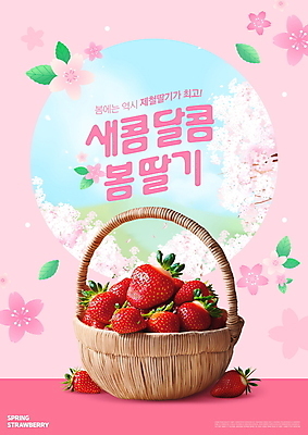 PSD 편집이미지 분홍색 과일 딸기 사람없음 바구니 봄 벚꽃 제철과일 이미지편집 계절 꽃 컬러 제철 파일형식