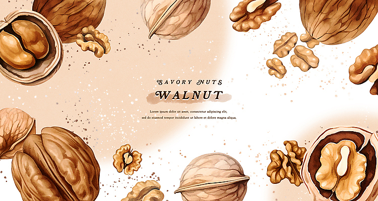 PSD 열매 백그라운드 일러스트 수채화 프레임 건강 사람없음 갈색 껍질 호두 웰빙음식 국내일러스트 식물 웰빙 컬러 견과류 건강식 파일형식