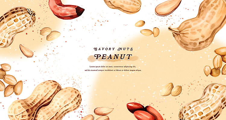 PSD 열매 백그라운드 일러스트 수채화 프레임 건강 사람없음 갈색 껍질 땅콩 웰빙음식 국내일러스트 식물 웰빙 컬러 견과류 건강식 파일형식