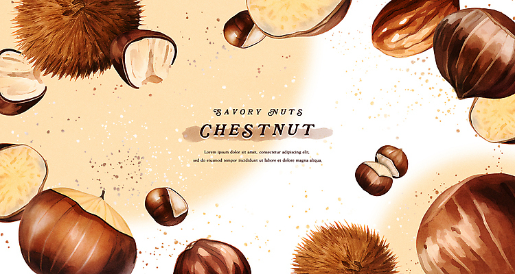 PSD 열매 백그라운드 일러스트 수채화 프레임 건강 사람없음 갈색 껍질 밤 밤송이 웰빙음식 국내일러스트 식물 웰빙 컬러 견과류 밤_견과류 건강식 파일형식