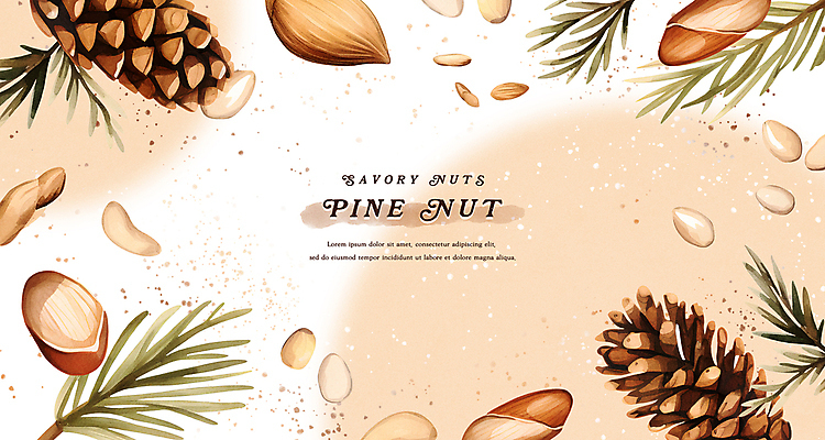 PSD 열매 백그라운드 일러스트 수채화 프레임 건강 사람없음 갈색 껍질 솔방울 솔잎 잣 웰빙음식 국내일러스트 식물 웰빙 컬러 잎 견과류 건강식 파일형식