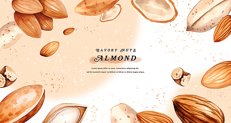 PSD 열매 백그라운드 일러스트 수채화 프레임 건강 사람없음 갈색 껍질 아몬드 웰빙음식 국내일러스트 식물 웰빙 컬러 견과류 건강식 파일형식