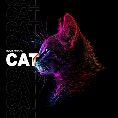 PSD 동물 편집이미지 디자인 사람없음 그래픽 빛 컬러풀 디지털 고양이 디지털합성 네온 편집소스 이미지편집 컬러 포유류 반려동물 파일형식