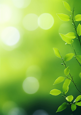 JPG 편집이미지 백그라운드 잎 자연 생명 근접촬영 사람없음 초록색 환경 봄 나뭇가지 에코 생태계 보케 편집실사 AI포토 AI콘텐츠 나무 식물 계절 뷰포인트 컬러 CG 파일형식