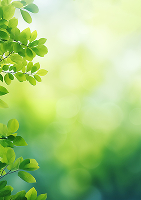 JPG 편집이미지 백그라운드 잎 자연 생명 근접촬영 사람없음 초록색 환경 봄 나뭇가지 에코 생태계 보케 편집실사 AI포토 AI콘텐츠 나무 식물 계절 뷰포인트 컬러 CG 파일형식