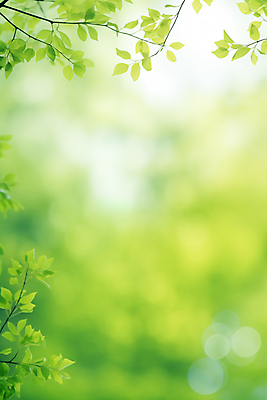 JPG 편집이미지 백그라운드 잎 자연 생명 근접촬영 사람없음 초록색 환경 봄 나뭇가지 에코 생태계 보케 편집실사 AI포토 AI콘텐츠 나무 식물 계절 뷰포인트 컬러 CG 파일형식