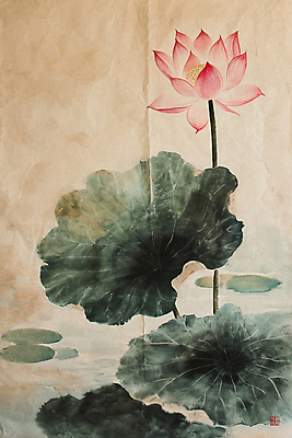 PSD 전통 일러스트 연꽃 수묵화 풍경 사람없음 연못 빈티지 동양화 연잎 국내일러스트 꽃 컨셉 잎 미술 파일형식