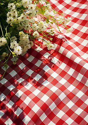 JPG 편집이미지 꽃 휴식 풍경 사람없음 일상 빨간색 소풍 봄 돗자리 체크무늬 화사함 편집실사 AI포토 AI콘텐츠 식물 계절 컬러 컨셉 무늬 라이프 야외활동 CG 파일형식