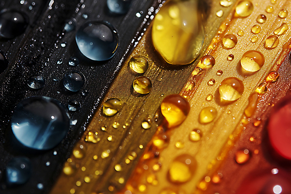 JPG 편집이미지 컬러 백그라운드 표면 근접촬영 사람없음 반사 물방울 투명 디지털합성 편집소스 디테일 편집실사 AI포토 AI콘텐츠 뷰포인트 CG 파일형식